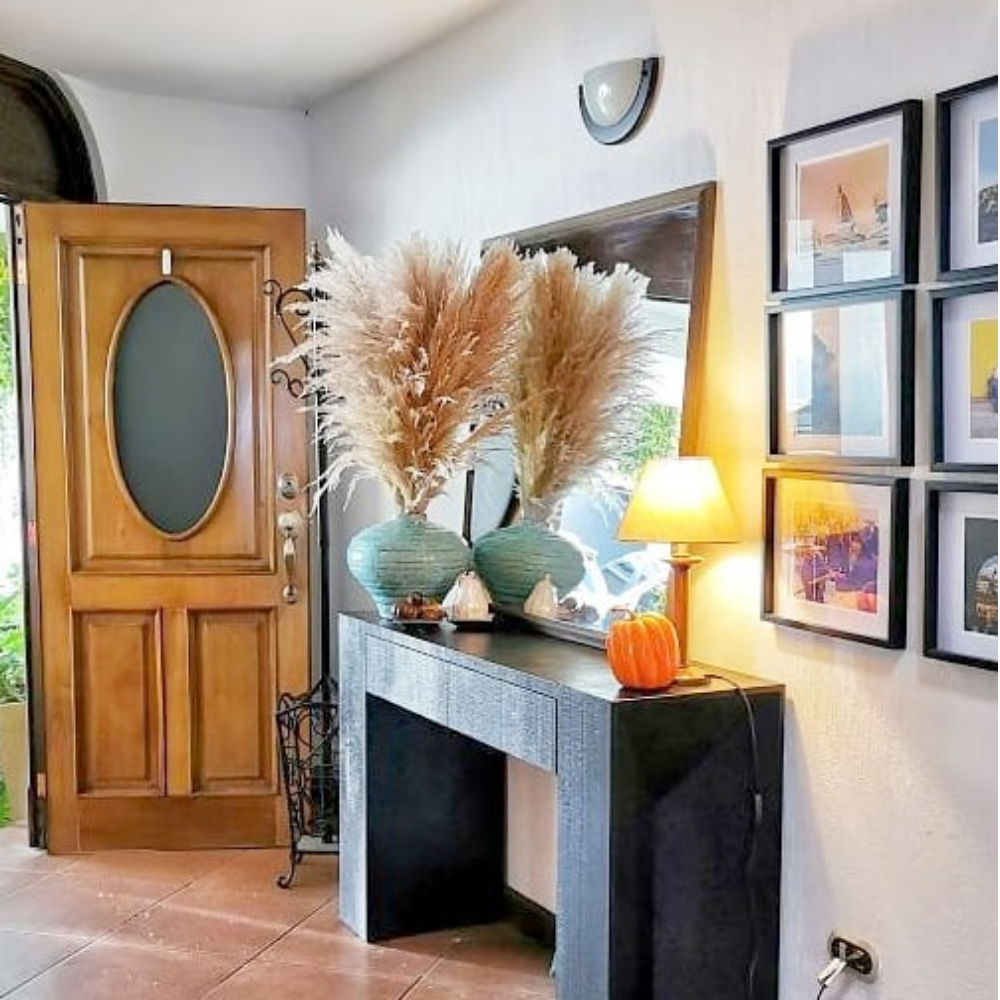 Copper Cloud Pampas