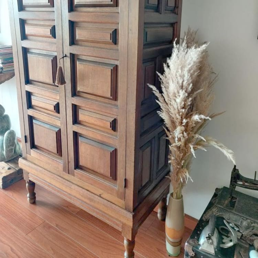 Copper Cloud Pampas