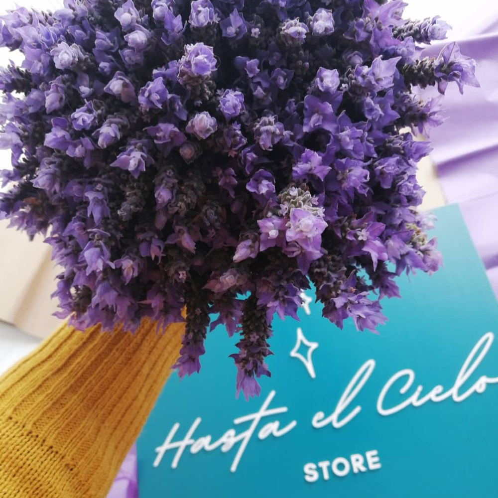 Lavanda Fresca