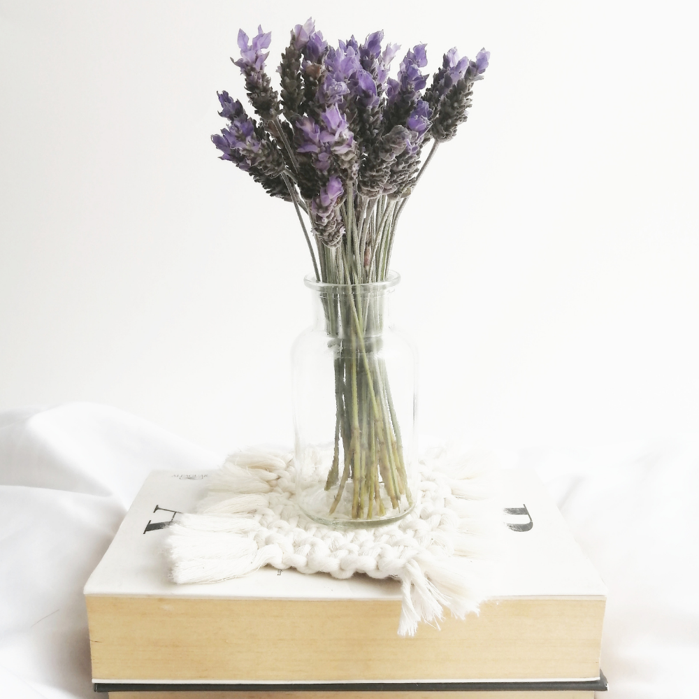 Lavanda Fresca