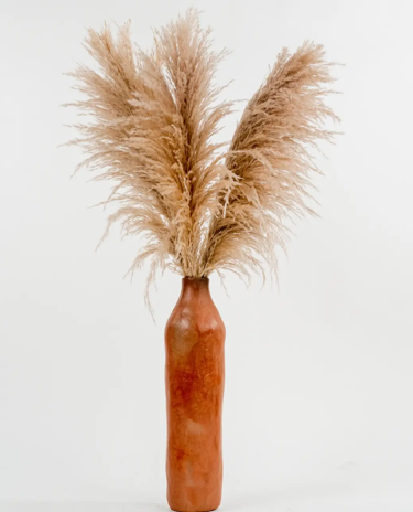 Copper Cloud Pampas