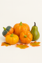 Juego de 5 calabazas con hojas de otoño