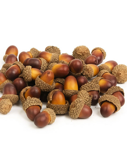Juego de 40 bellotas decorativas