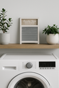 Cuadro decorativo Laundry Room