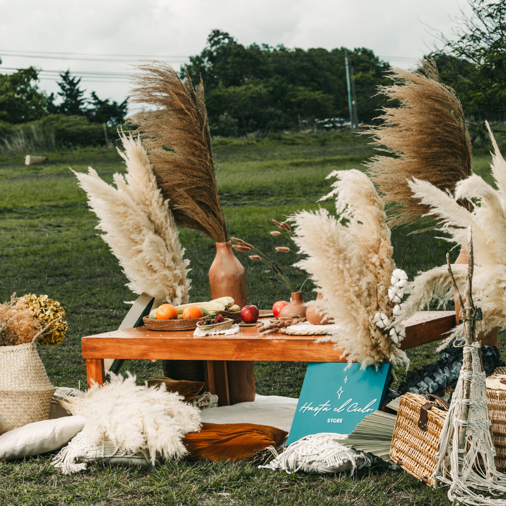 Wild Pampas Grass