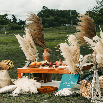 Wild Pampas Grass