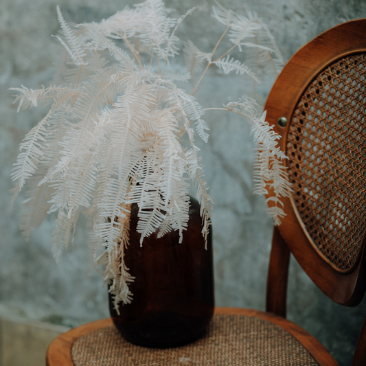 Mountain Fern