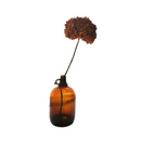 Glass Bottle