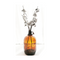 Glass Bottle