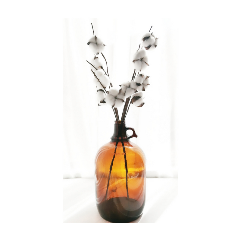 Glass Bottle