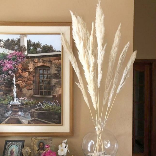 Cotton Pampas Grass