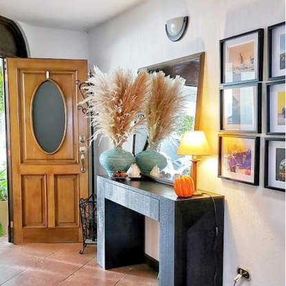 Copper Cloud Pampas