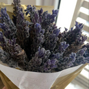 Lavanda Seca