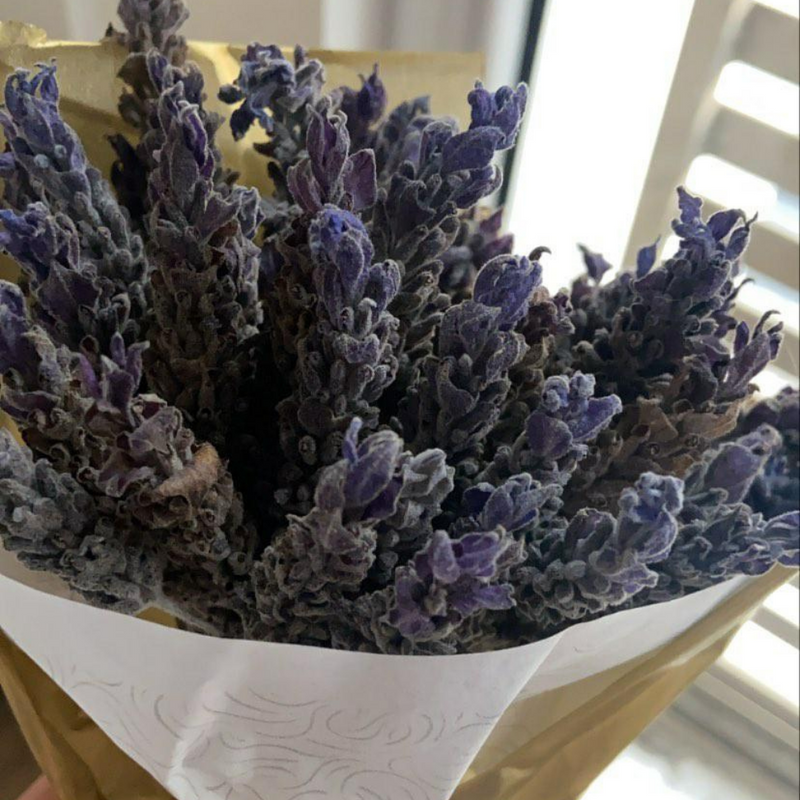 dry lavender