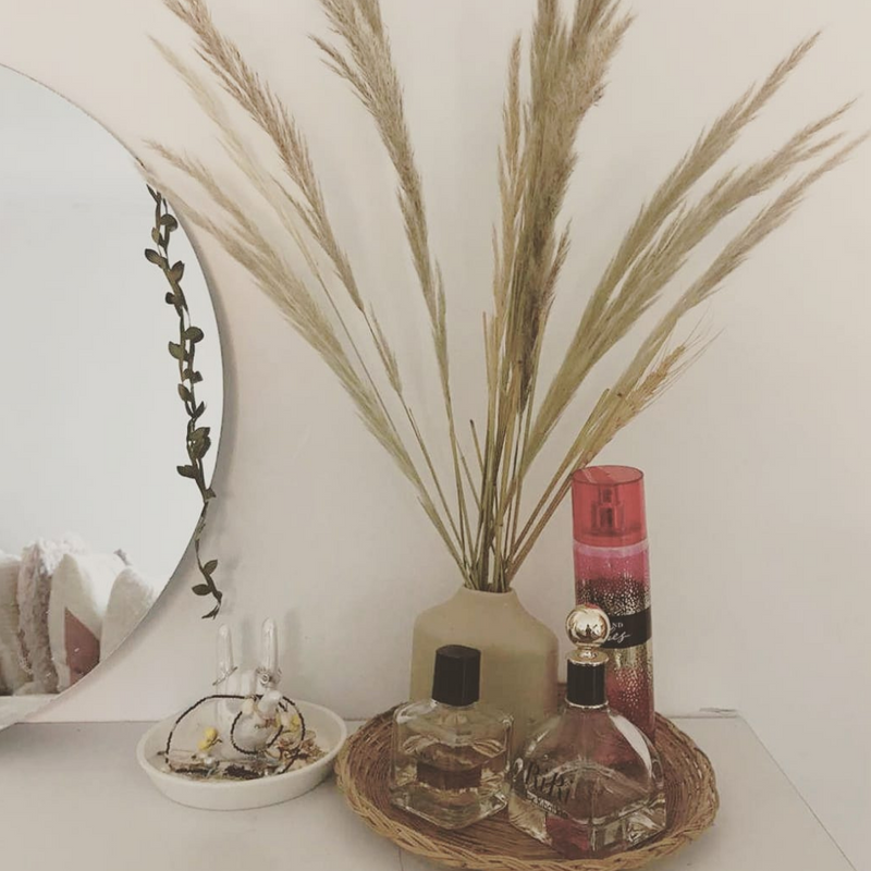 Mini Pampas