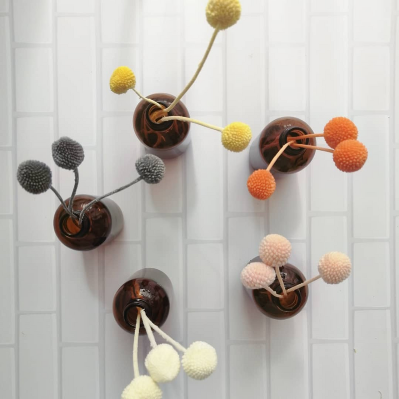 Colección Ámbar: Billy Ball