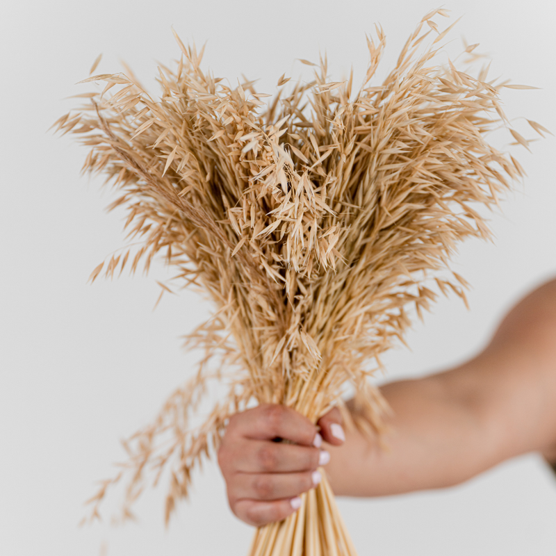 Oats Variant 2