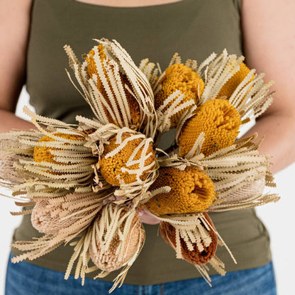 Banksia